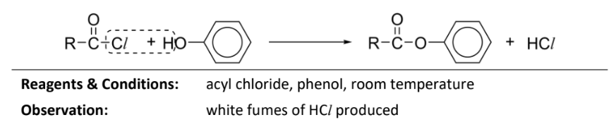 <p>RnC: acyl chloride, room temperature</p><p>obersvation: whtie fumes of HCl</p><p></p><p>Note: </p><ul><li><p>phenol can only react with acyl chloride for condensation as it is a weaker nucleophile</p></li></ul><p></p>