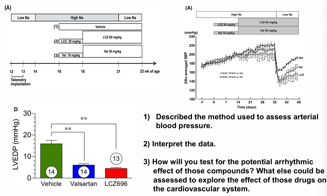 <p>Valsartan regulation of cardiovascular system</p>