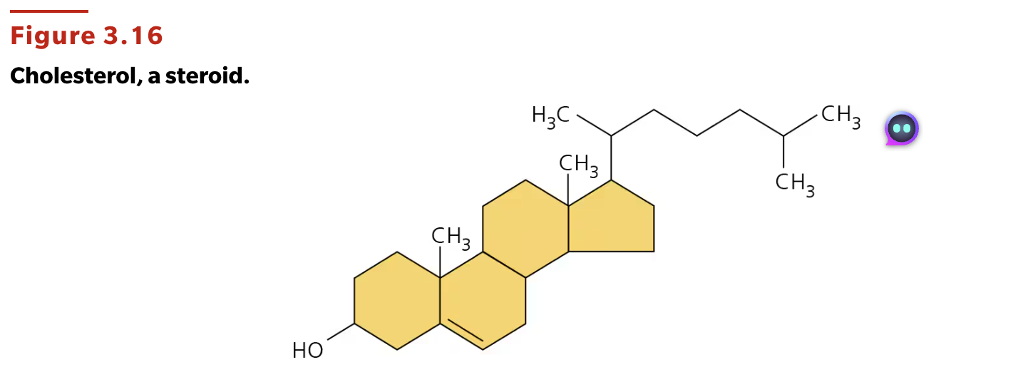 <p>lipids characterized by a carbon skeleton composed of four fused rings.</p>