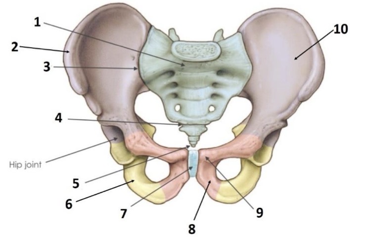 <p>9</p>