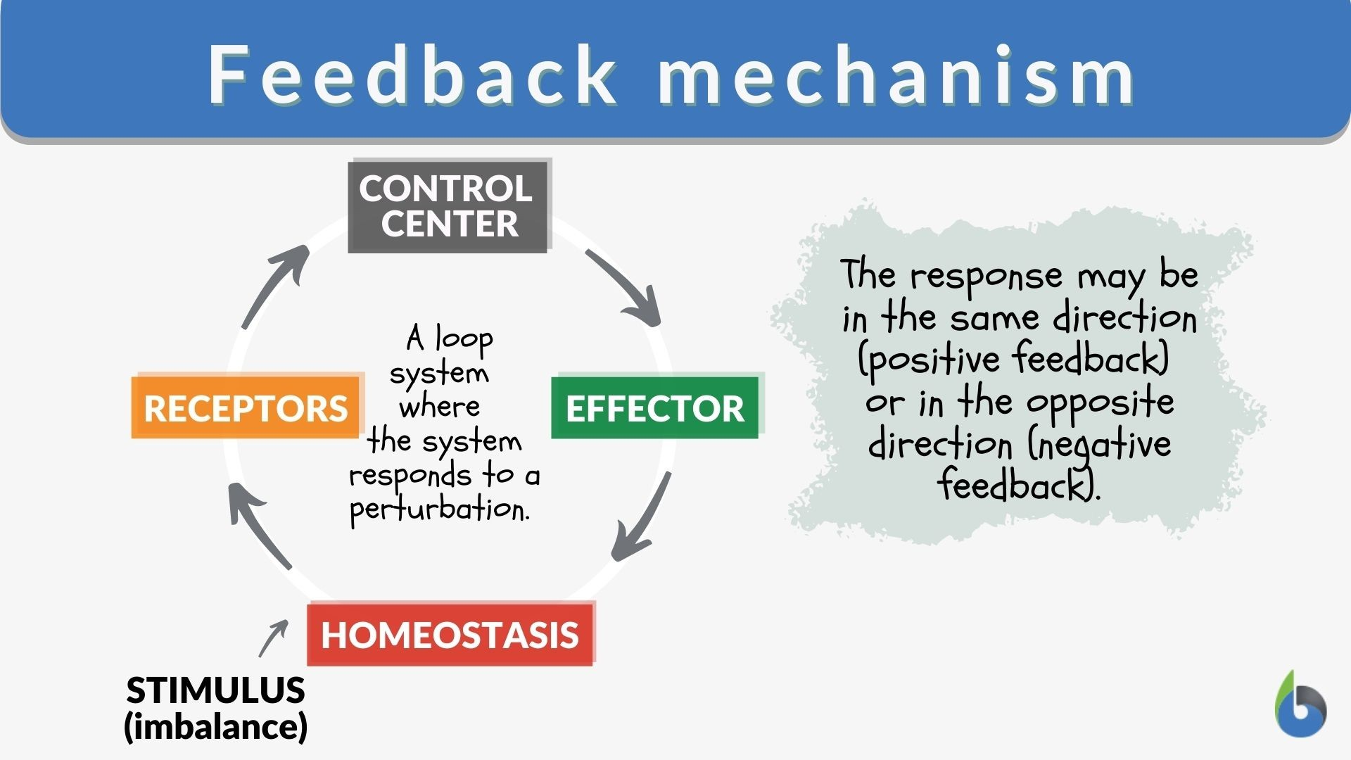 <p>Reverses a change in a controlled condition to restore homeostasis (e.g., blood pressure regulation)</p>