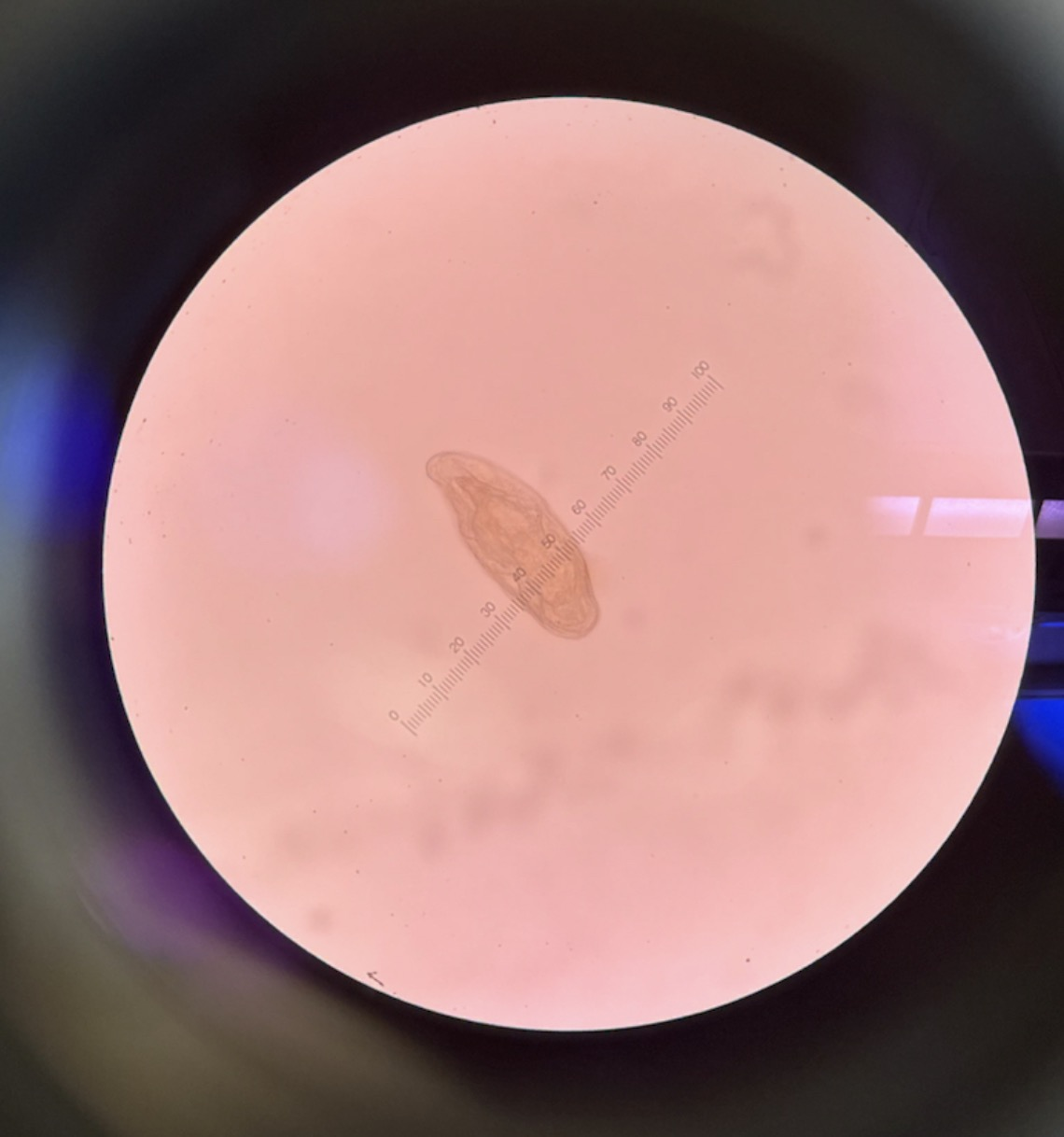 <p>What is this?</p>