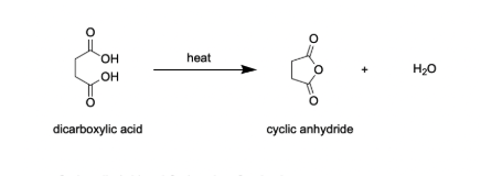 <p><strong>Dicarboxylic Acid → Cyclic Anhydride</strong></p>