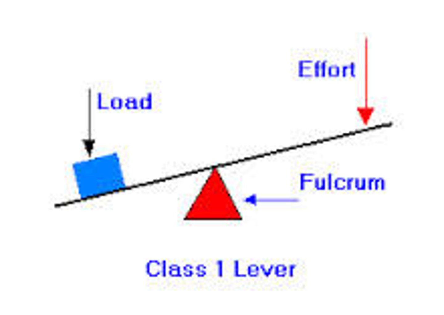 <p>A rigid bar that moves on a fixed point</p>