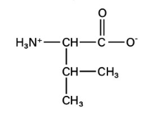 <p>non-polar aliphatic</p>