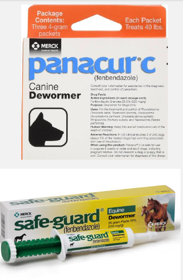 <p>Benzimidazoles: examples of, MOA</p>