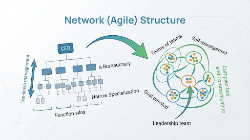 <p>Agile network structure</p>
