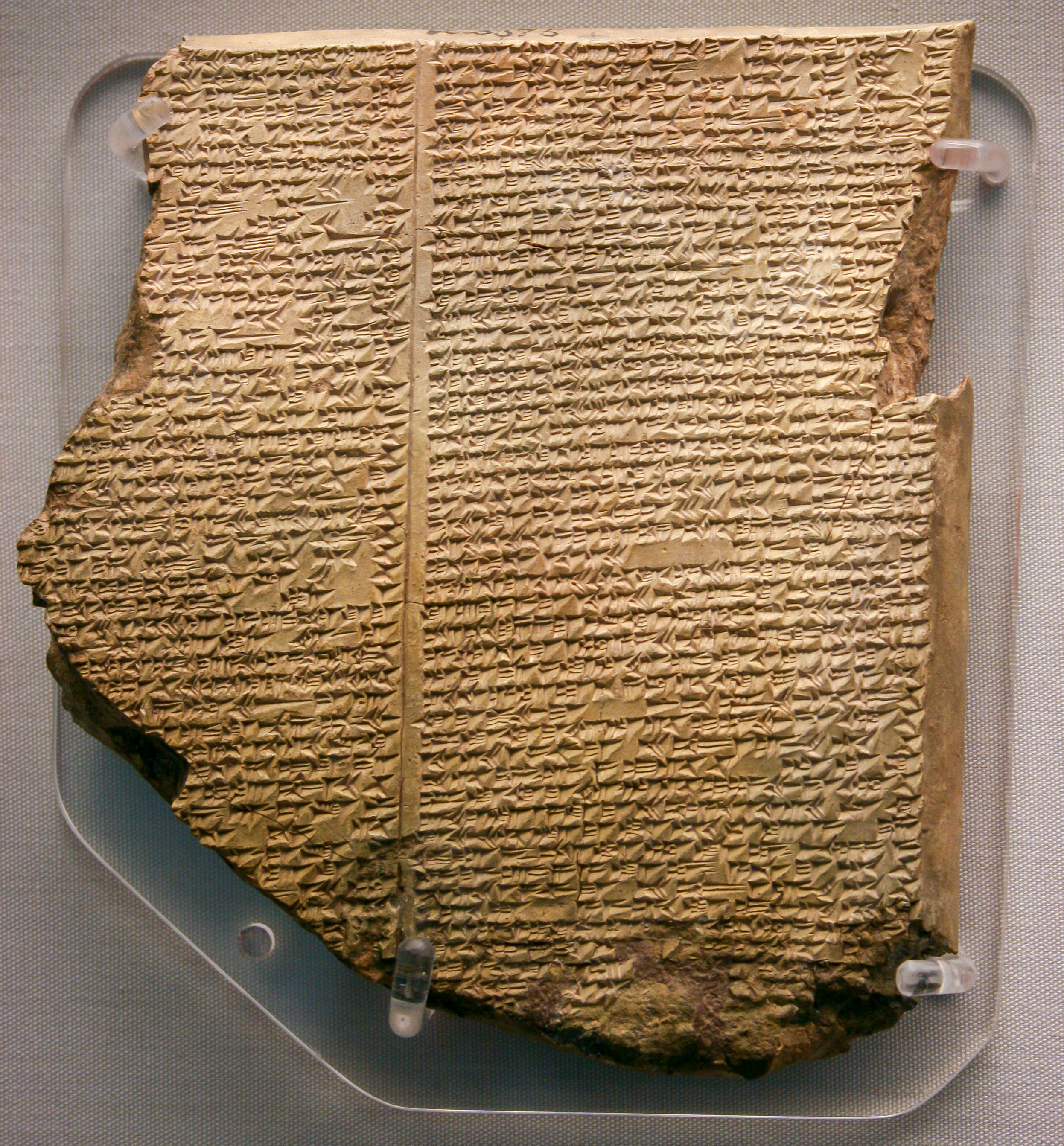 term image
