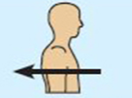 <ul><li><p>Toward or at the back of the body</p></li><li><p>Behind</p></li><li><p>ex: the heart is posterior to the breastbone</p></li></ul><p></p>