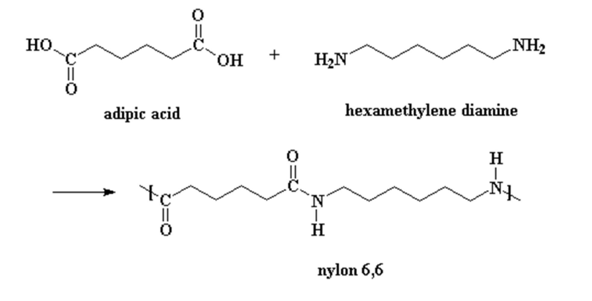 <p>nylon-6,6</p><p>changing amount of carbon chain gives different types of nylons</p>