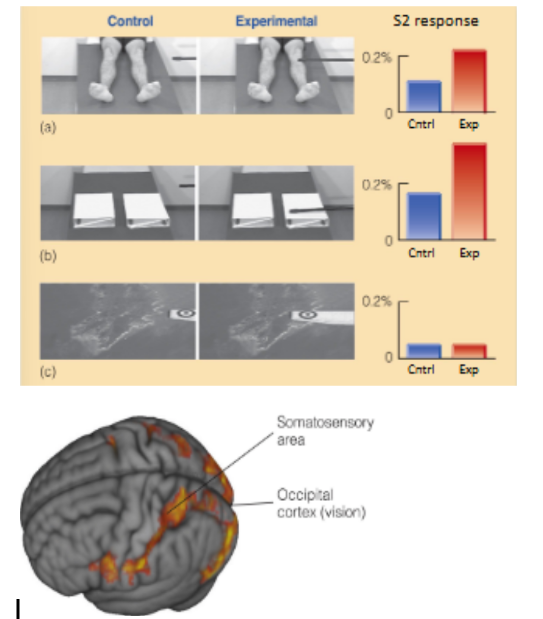 <p>explain the 2 experiments in the picture by 1) Keyser and coworkers, and 2) Meyer and coworkers</p>