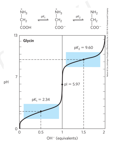 <ul><li><p>katión ⇌ zwitterion ⇌ anion </p></li><li><p>-COOH má kyslé pKa<sub>1</sub></p></li><li><p>-NH<sub>3</sub><sup>+</sup><sub><sup> </sup></sub> má zásadité pKa<sub>2</sub> </p></li><li><p>pH, pri ktorom je celkový elektrický náboj nulový, je izoelektrický bod (pI)</p></li><li><p>alfa-karboxylová skupina je kyslejšia než u karboxylových kyselín </p></li><li><p>alfa-aminová skupina je menej zásaditá než u amínov </p></li></ul><p></p>