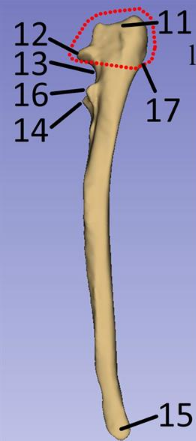 <p>What is 15?</p>
