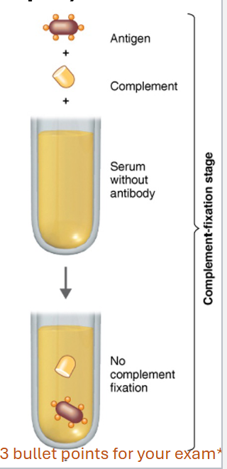 <p>1. An antigen and inactivated compliment are provided by</p><p>the lab. These are added to a serum sample that does NOT</p><p>contain the patient’s antibodies which would have been</p><p>specific for the Antigen. No immune complex is formed</p><p>because the patient’s serum sample has no Antibodies</p><p>against the lab provided Antigen.</p><p>2. As a result of NO immune complex formation,</p><p>complement does NOT get activated and compliment</p><p>fixation does not occur (Compliment does not bind to the</p><p>stem region of the Antibody of the immune complex). This is</p><p>part of the “Compliment Fixation Stage” of the test. Since</p><p>no compliment was “used-up”, they are available to bind to</p><p>future immune complex formations.</p>