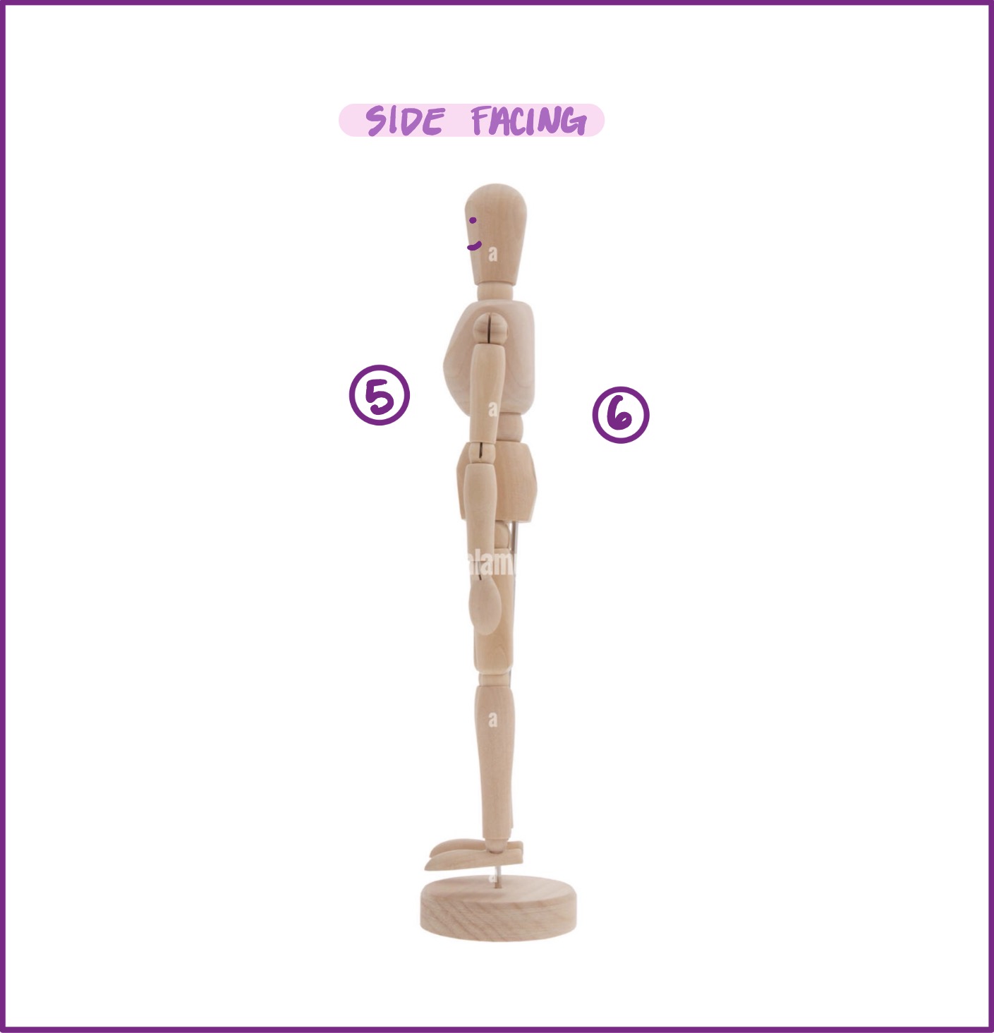<p>#5 shows what anatomical direction?</p>