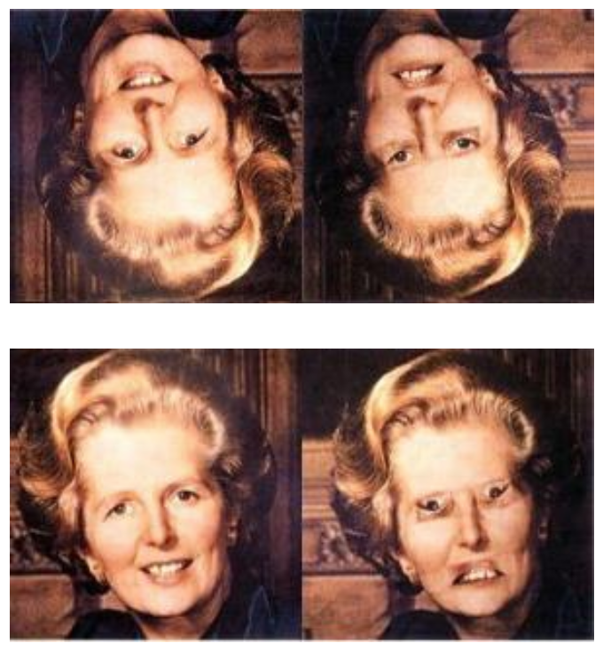<p>What is holistic/configural face processing?</p>