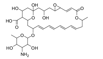 <p>[ANTIFUNGAL DRUGS]</p><p>a. Amphotericin B</p><p>b. Nystatin</p><p>c. Natamycin</p><p>d. Ketoconazole</p><p>e. Itraconazole</p><p>f. Fluconazole</p><p>g. Posaconazole</p><p>h.  Voriconazole</p>