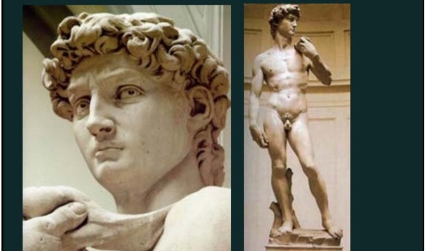 <p>In Michelangelo's sculpture, David's expression is best characterized as</p>
