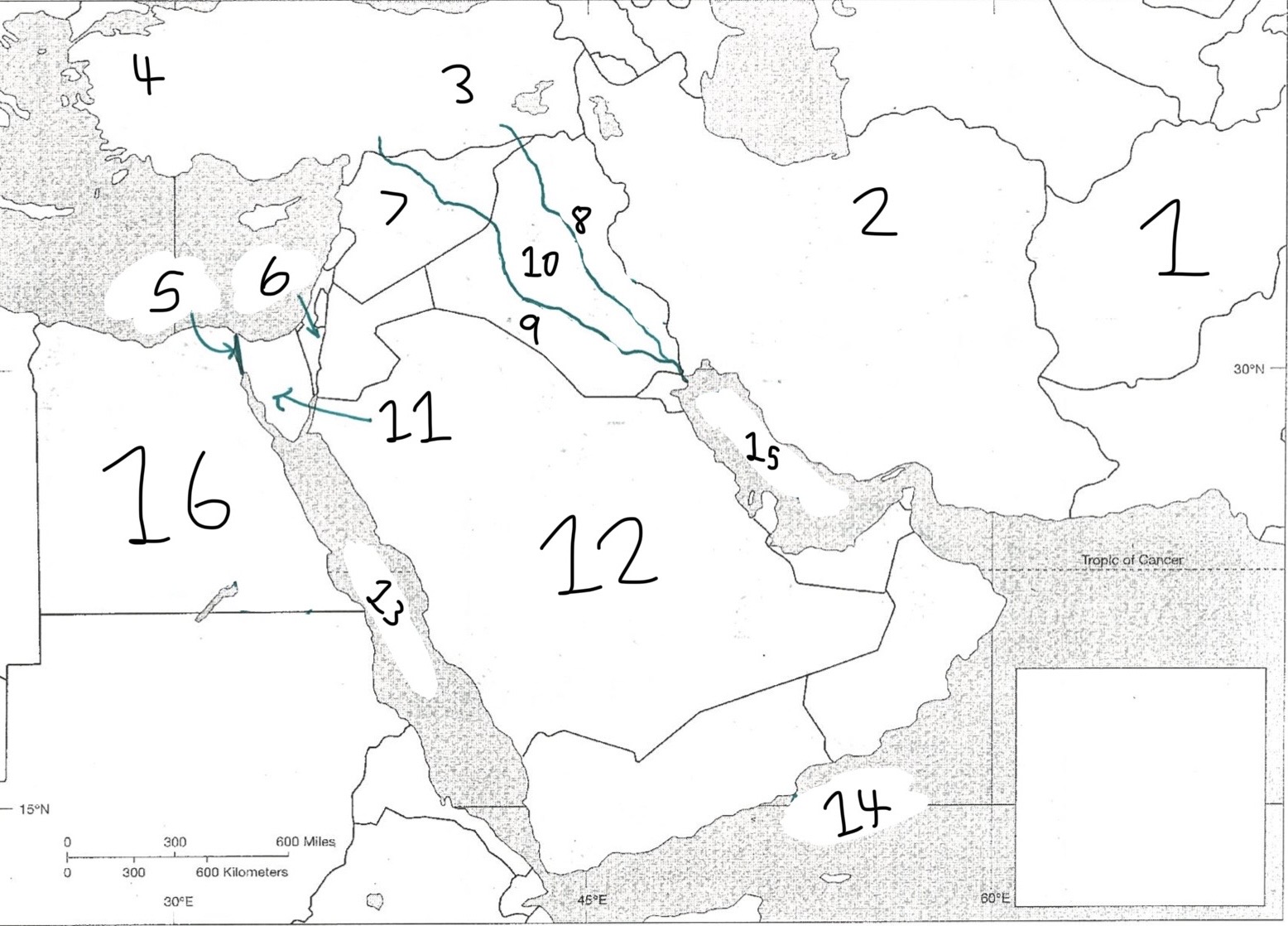 <p>5</p>