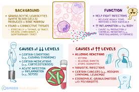 <p>What do eosinophils often respond to?</p>