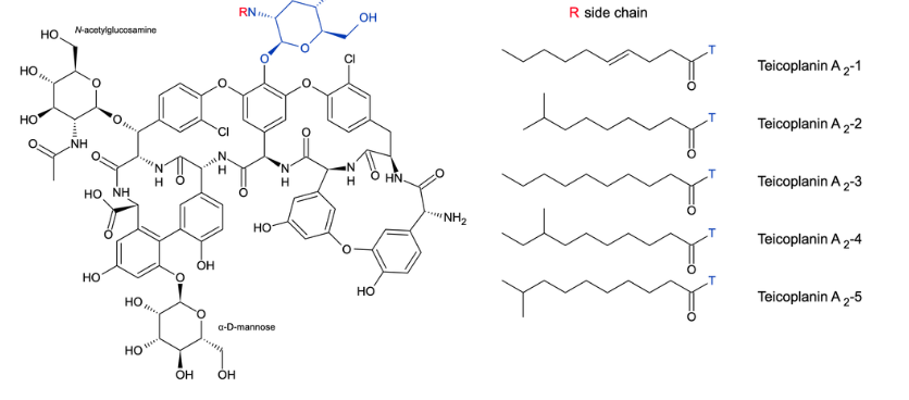 <p>What is this the chemical structure for?</p>