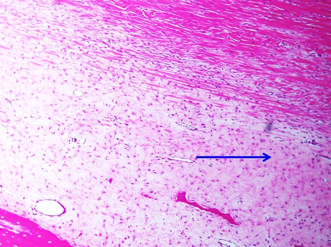 <p>Cấu trúc gì ?</p>