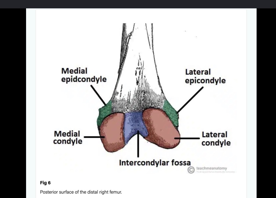 <p>Process above wearing surfaces</p>