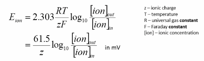 <p>It predicts the membrane potential at equilibrium if the membrane were permeable to a single ion (rarely the real case in a cell). You need: (1) the ionic concentrations inside and outside the cell, and (2) the ionic charge (z). Practical form: E_ion = (61.5/z) × log10([ion]out / [ion]in), in mV.</p>