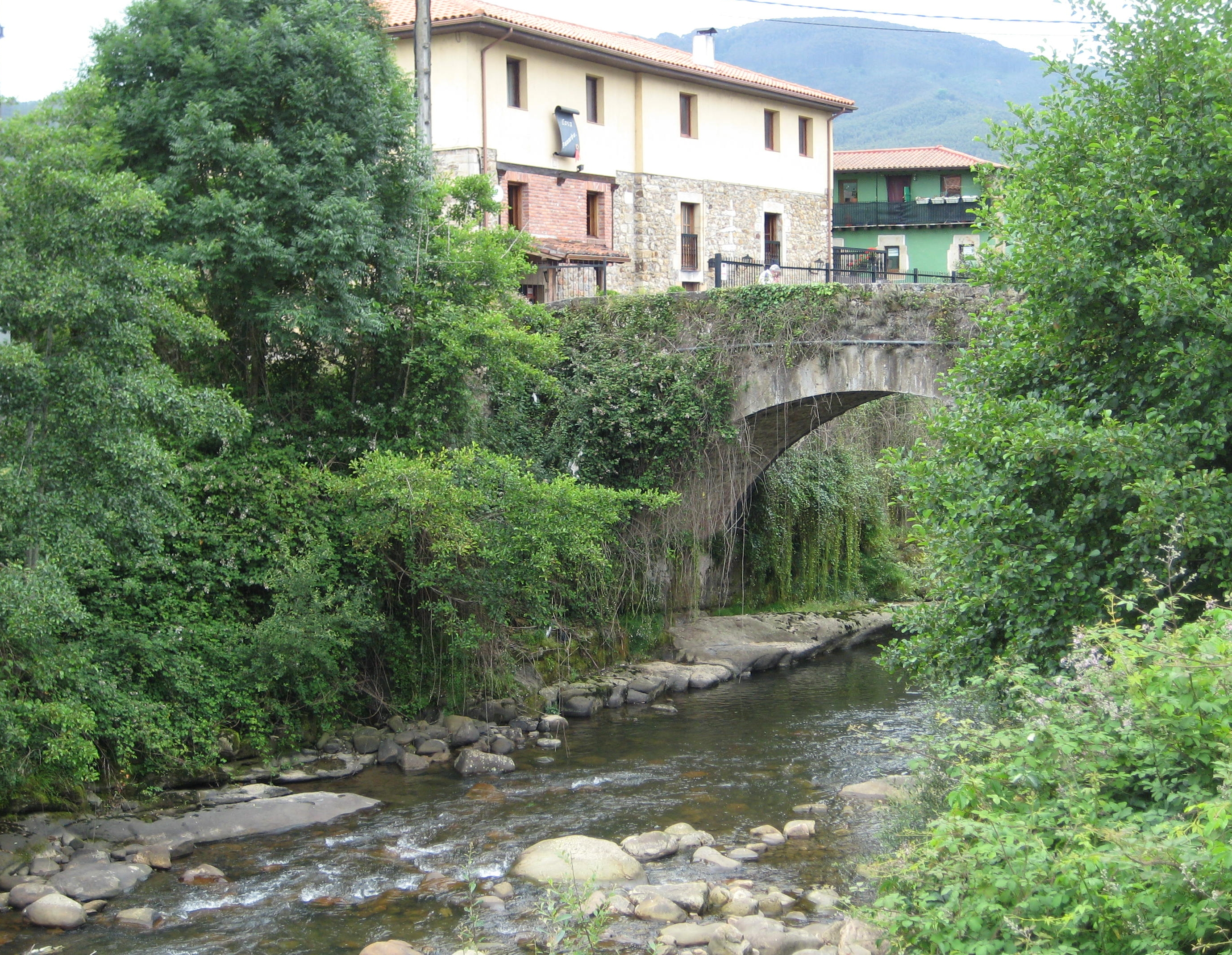 <p>Bridge</p>