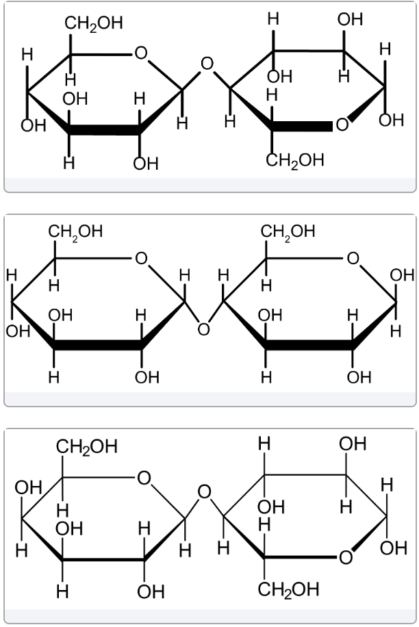 <p>When <span style="color: yellow;">only one anomeric carbon</span> is involved in glycosidic linkage, it’s reducing sugar </p>