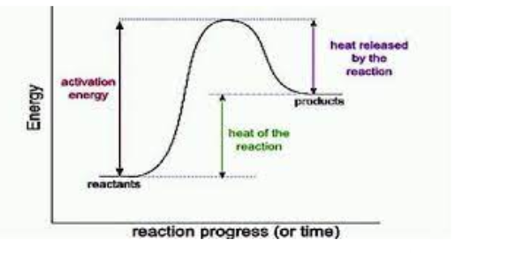 <p>In an exothermic reaction, the reactants are at a higher energy level than the products. This shows that energy was released. The graph ends lower than it starts.</p>
