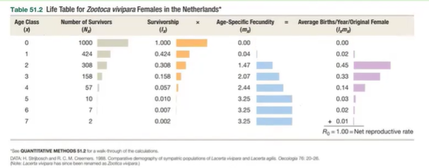 <ul><li><p>Survivorship (<strong>Lₓ</strong>) = Proportion of a cohort that survive to an age class</p></li><li><p>Age-specific fecundity (<strong>mₓ</strong>) = Average number of <strong>female </strong>offspring produced by a female in each age class </p></li><li><p><strong>Lₓ * mₓ</strong> = Average number of female offspring produced per original female in the population at that age class</p></li><li><p>Net reproductive rate (<strong>R₀</strong>) = Average female births per year per female</p></li><li><p>R₀ < 1 : <strong>Decreasing Population </strong></p></li><li><p>R₀ = 1 : <strong>Stable Population </strong></p></li><li><p>R₀ > 1 : <strong>Increasing Population</strong></p></li></ul><p></p>