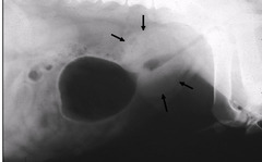 <p>What do you see?</p>