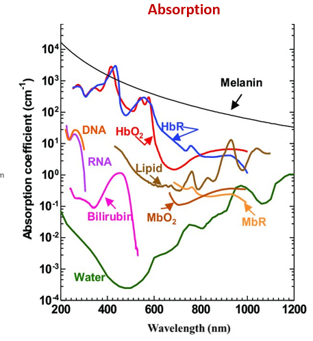<ol><li><p>the absorption coefficient of the material</p></li><li><p>the wavelength/frequency of light → high frequency/ short wavelength (blue) light is more easily absorbed</p></li></ol><p></p>