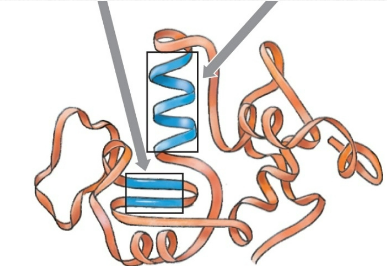 <p>what is this an example of?</p>