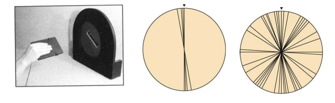 <p>She struggled to match the slot's orientation because her conscious perception of its angle was impaired.</p><p>Shows the ventral pathway helps with consciously judging what we see.</p>
