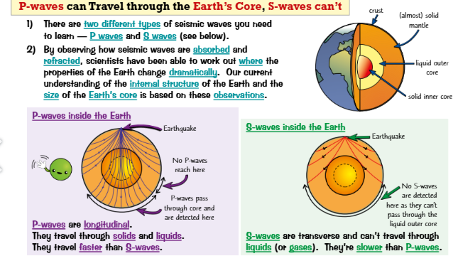 <ul><li><p>There are two main seismic waves: <strong>P-waves and S-waves</strong>.</p></li><li><p>By studying how waves are <strong>absorbed and refracted</strong>, scientists have worked out the <strong>internal structure of the Earth</strong>, including the <strong>core</strong>.</p></li></ul><p> P-waves</p><ul><li><p><strong>Longitudinal waves</strong></p></li><li><p>Travel through <strong>solids and liquids</strong></p></li><li><p><strong>Faster</strong> than S-waves</p></li><li><p>Pass through the <strong>Earth’s core</strong>, but some regions show <strong>no detection</strong></p></li></ul><p> S-waves</p><ul><li><p><strong>Transverse waves</strong></p></li><li><p>Travel only through <strong>solids</strong> (not liquids or gases)</p></li><li><p><strong>Slower</strong> than P-waves</p></li><li><p>Cannot pass through the <strong>liquid outer core</strong>, so they are <strong>not detected on the opposite side of the Earth</strong></p></li></ul><p></p>