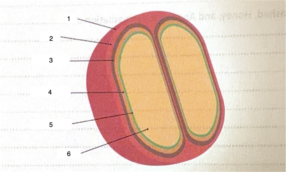 <p>3</p>