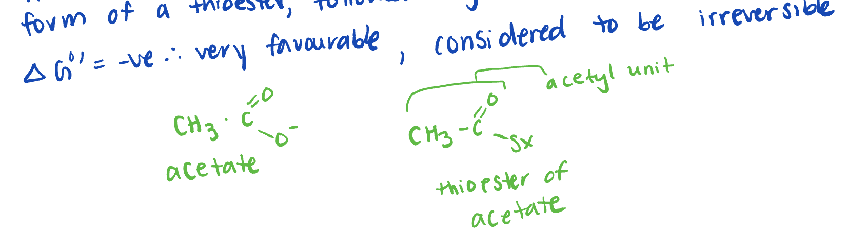 <ul><li><p>conversion of pyruvate to acetyl COA is catalysed by PDC and occurs in the mitochondira matrix </p></li><li><p>invovles a decarboxylation/oxidiation of pyruvate to acetate in the form of a thioester, followed by the formation of acetyl COA </p></li></ul><p>Pyruvate + NAD+ + COA-SH → Acteyl COA + NADH + CO2 + H+</p><p></p>
