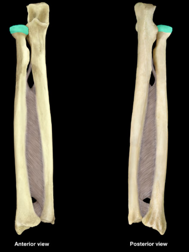 <p></p>