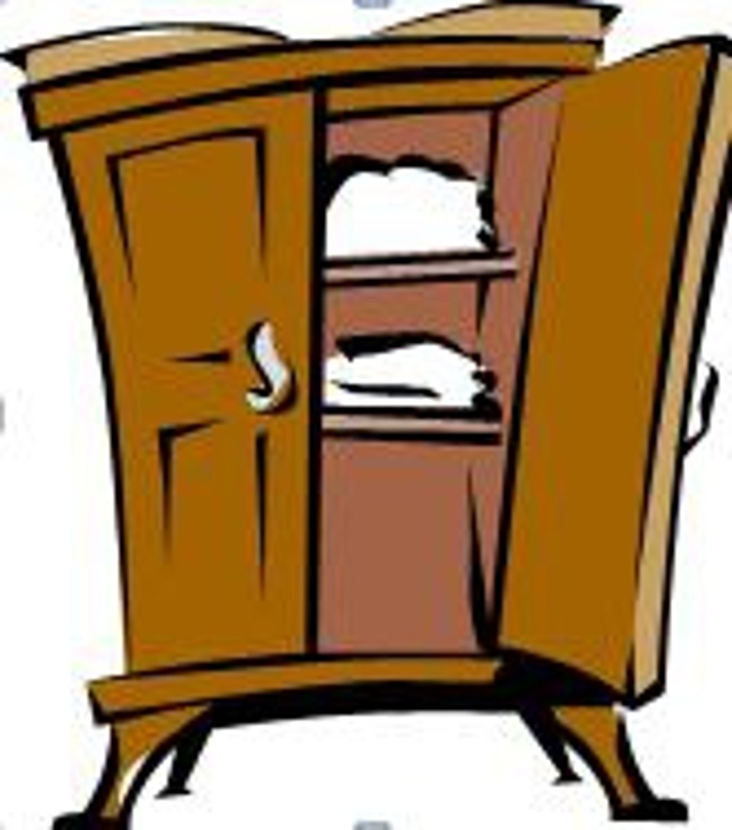 <p>wardrobe</p>