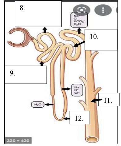 <p>name of 9</p>