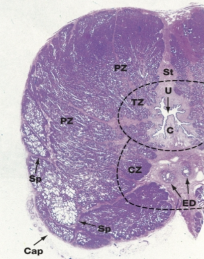 <p>What is this?</p>