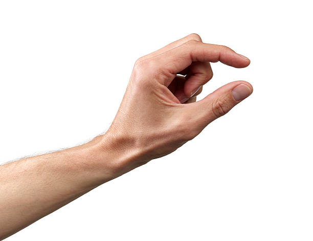 <p>Small or little </p>