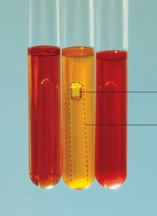 <p>Phenol Red Broth tests for?</p>