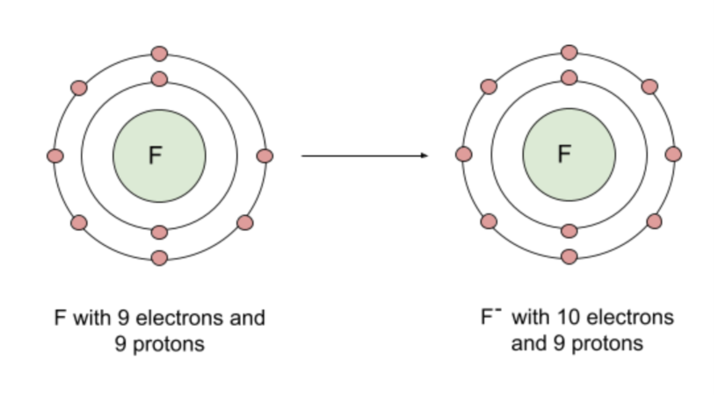 <ul><li><p>gain electrons → negative charge </p></li></ul><p></p>