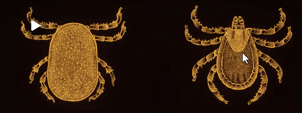 <p>What is this?</p>