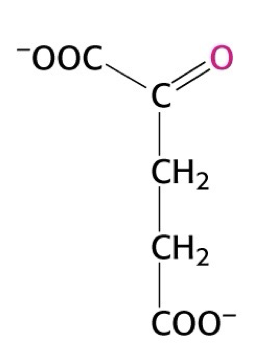 <p>what structure is this</p>