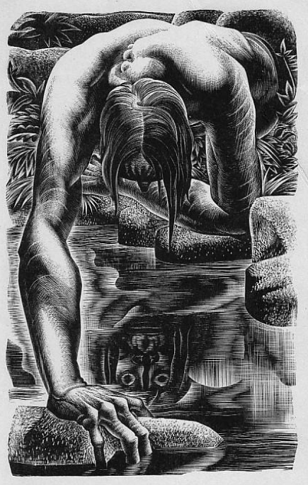 <p>“Who was I? What was I"?” - the Creature</p>