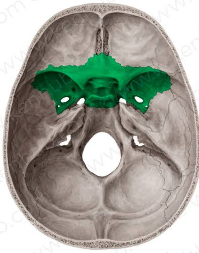 knowt flashcard image